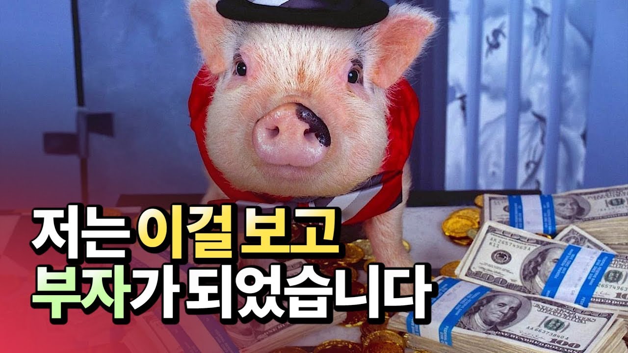 재무제표로 주식투자를 해서 경제적 자유를 이룬 회계사(재테크,돈,부자)ㅣ사경인 1부 [후랭이TV]