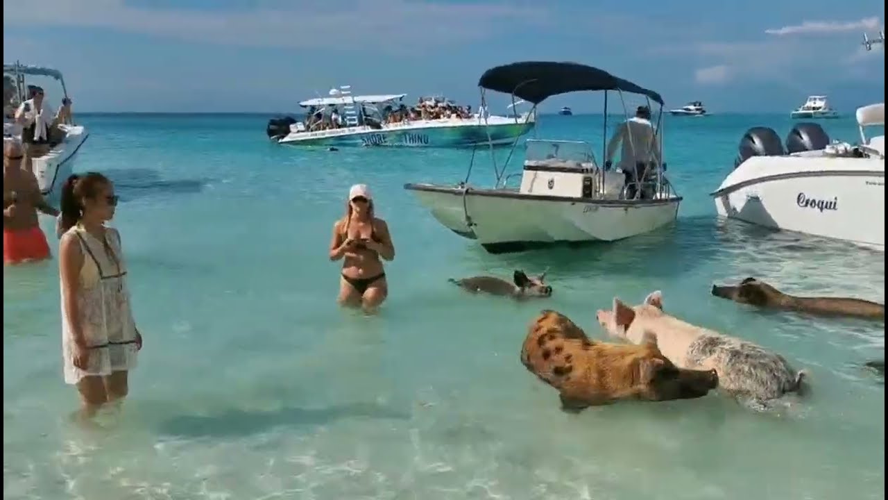 Bahamas Vacation 🌴 Turquoise Water & Island Paradise