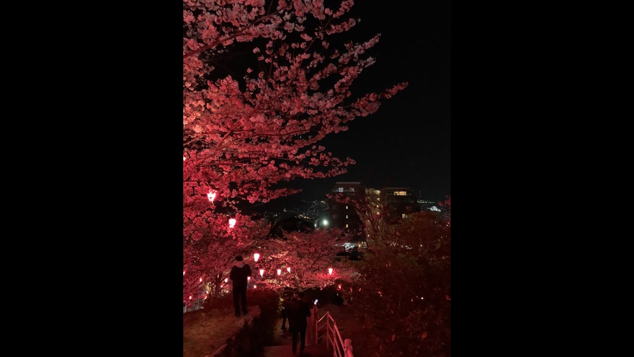 [FREE] pluggnb x diary plugg type beat 