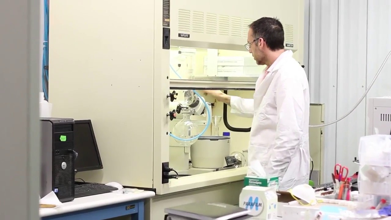Vireo Health Lab Process Overview