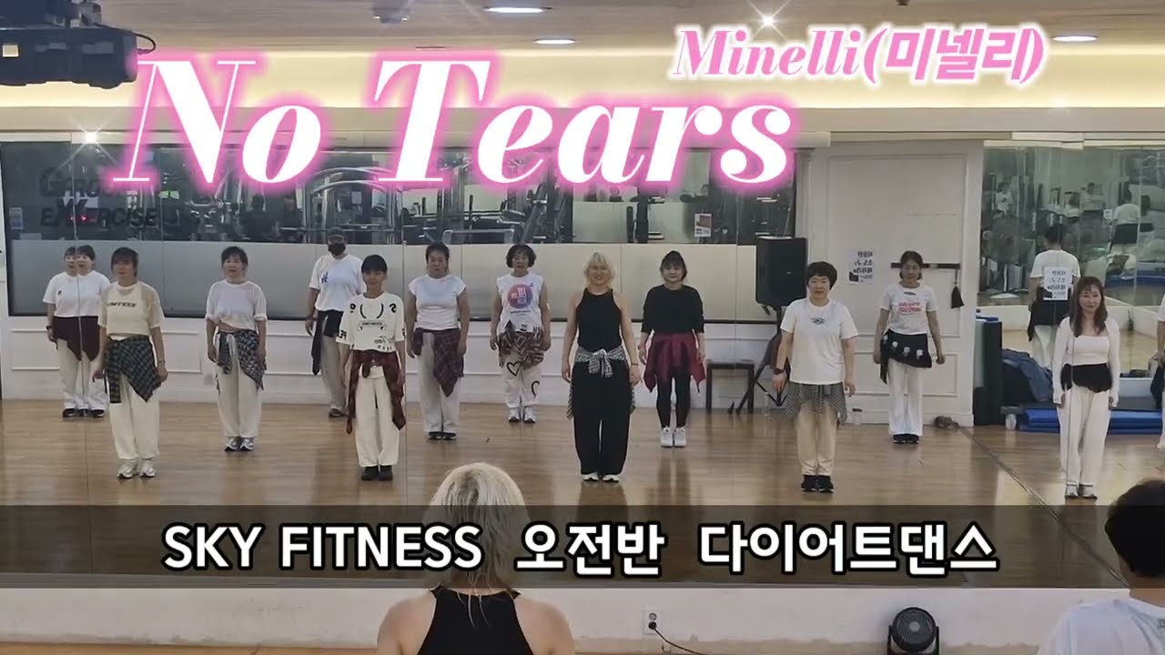 [SKY FITNESS 오전반 수업동영상] No Tears(노티얼스)-Minelli(미넬리)/팝몸풀이/다이어트댄스/연휴전후 간단하게~