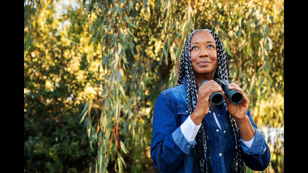 Keep Looking Up: Your Guide to the Powerful Healing of Birdwatching