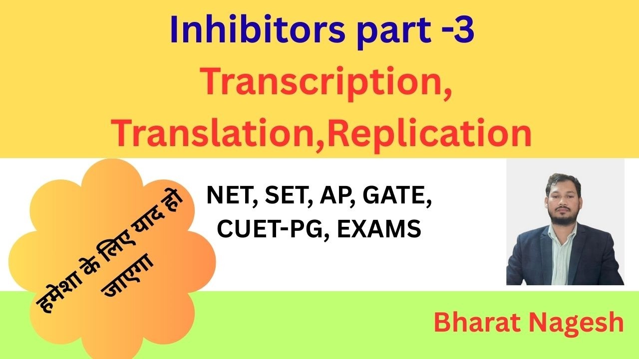 Inhibitors of Translation, Transcription, Replication