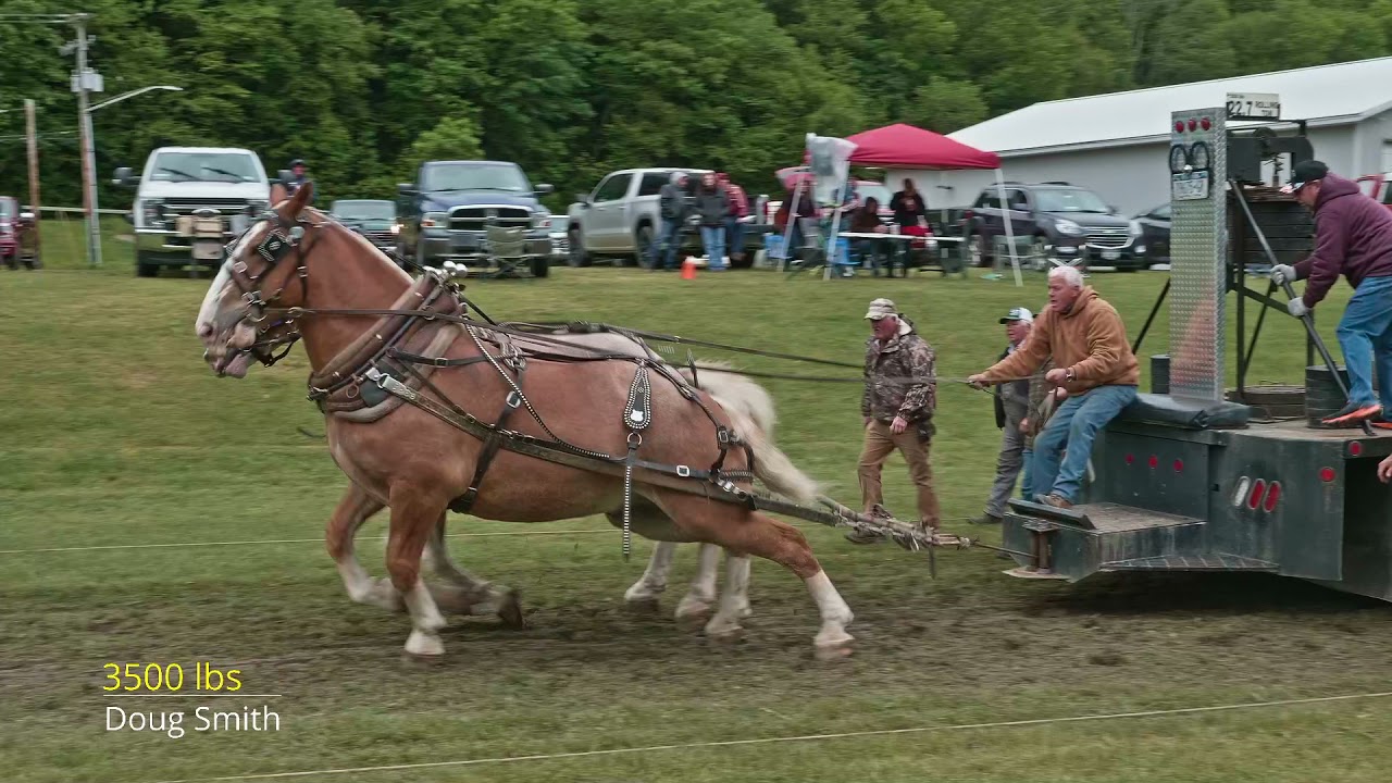 2021 Lisle,NY Heavyweight horse pull