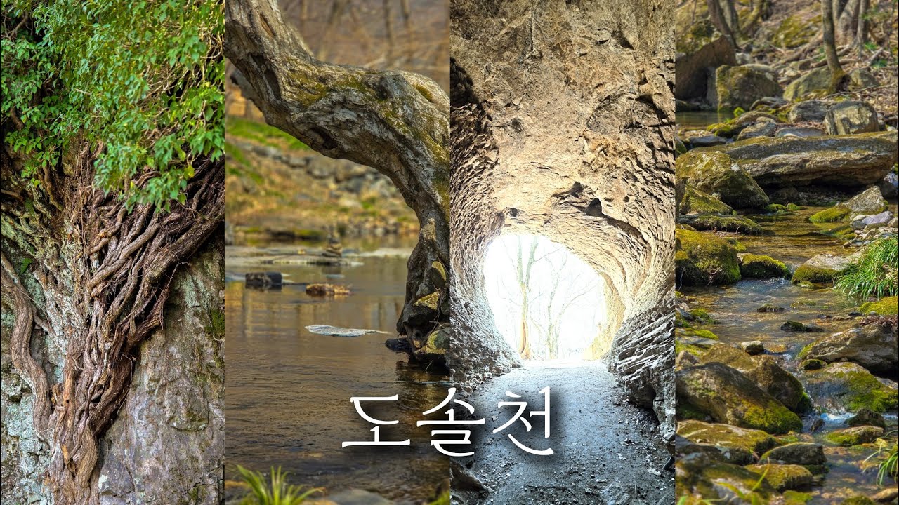 정원사의 시선으로, 선운산 도솔천 산책