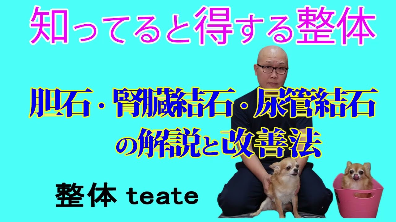 知ってると得する整体～胆石・腎臓結石・尿管結石の解説と改善法編～