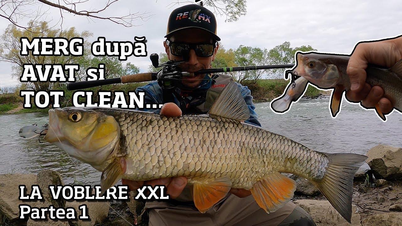 VREAU SA PRIND AVAT... Dar tot CLEANUL ma scoate la liman. PARTEA 1 - la voblere XL