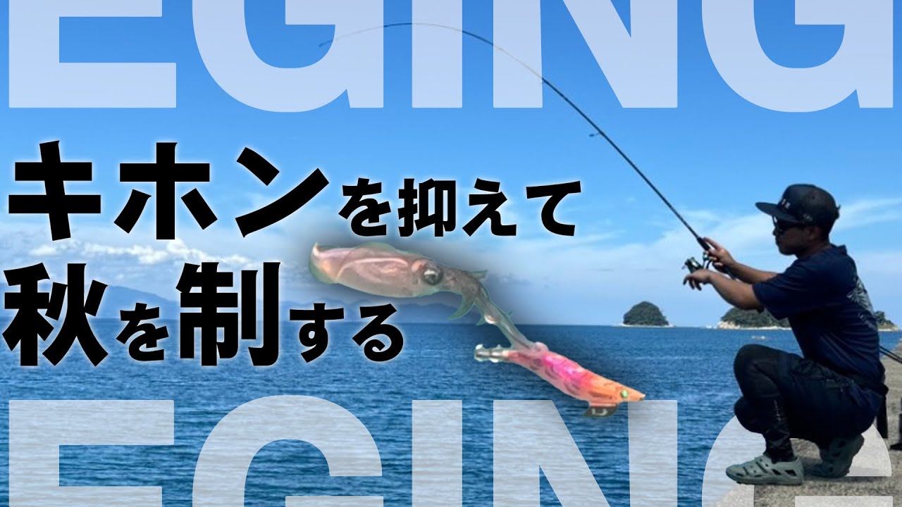 【エギング】アオリイカ釣りたきゃこれを見ろ！
