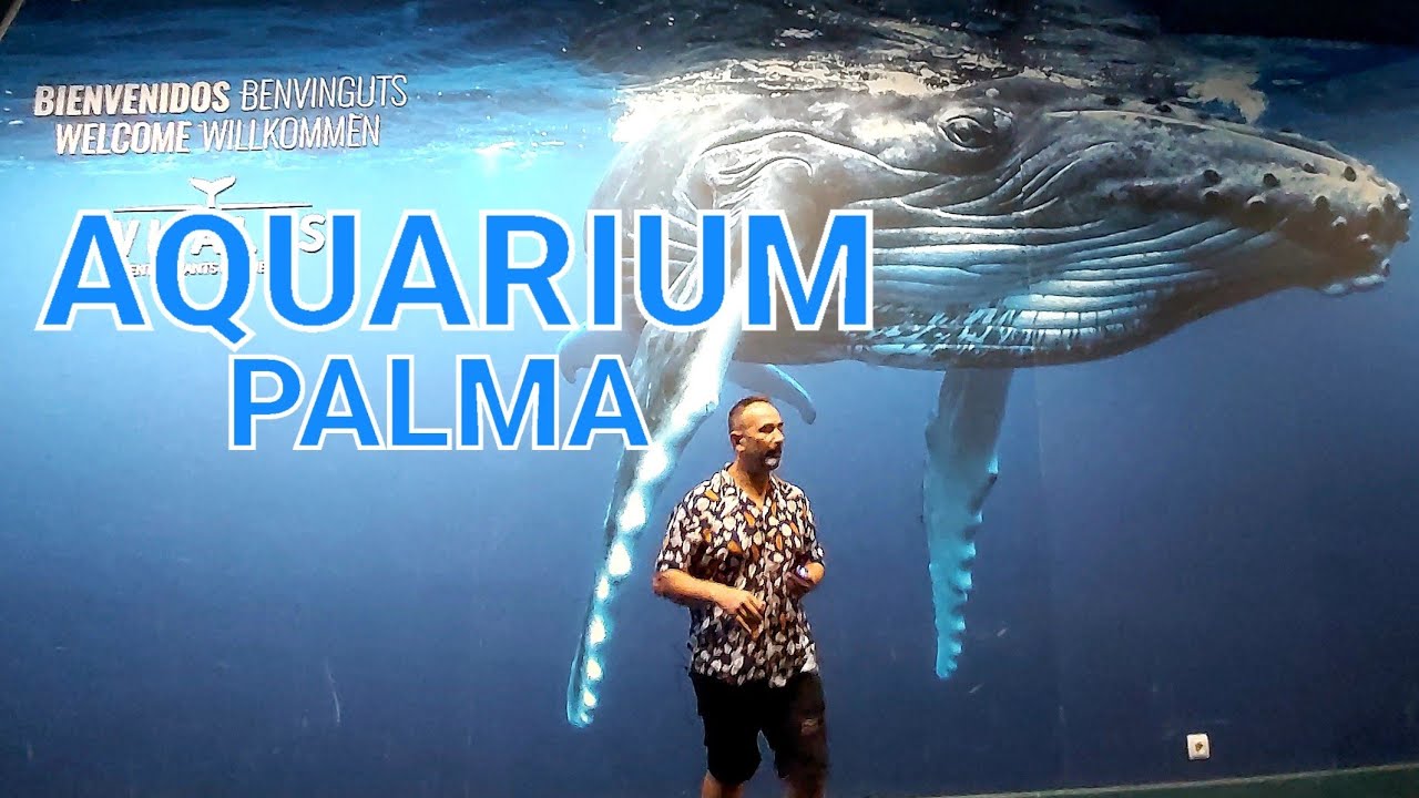 AQUARIUM DE PALMA | MALLORCA