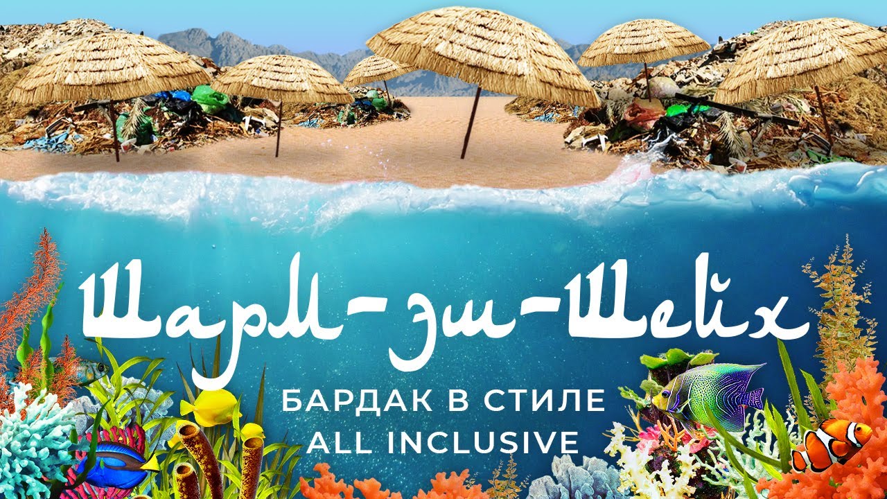 Шарм-эш-Шейх: русский Египет | Дайвинг, алкоголь и коллапс в аэропорту