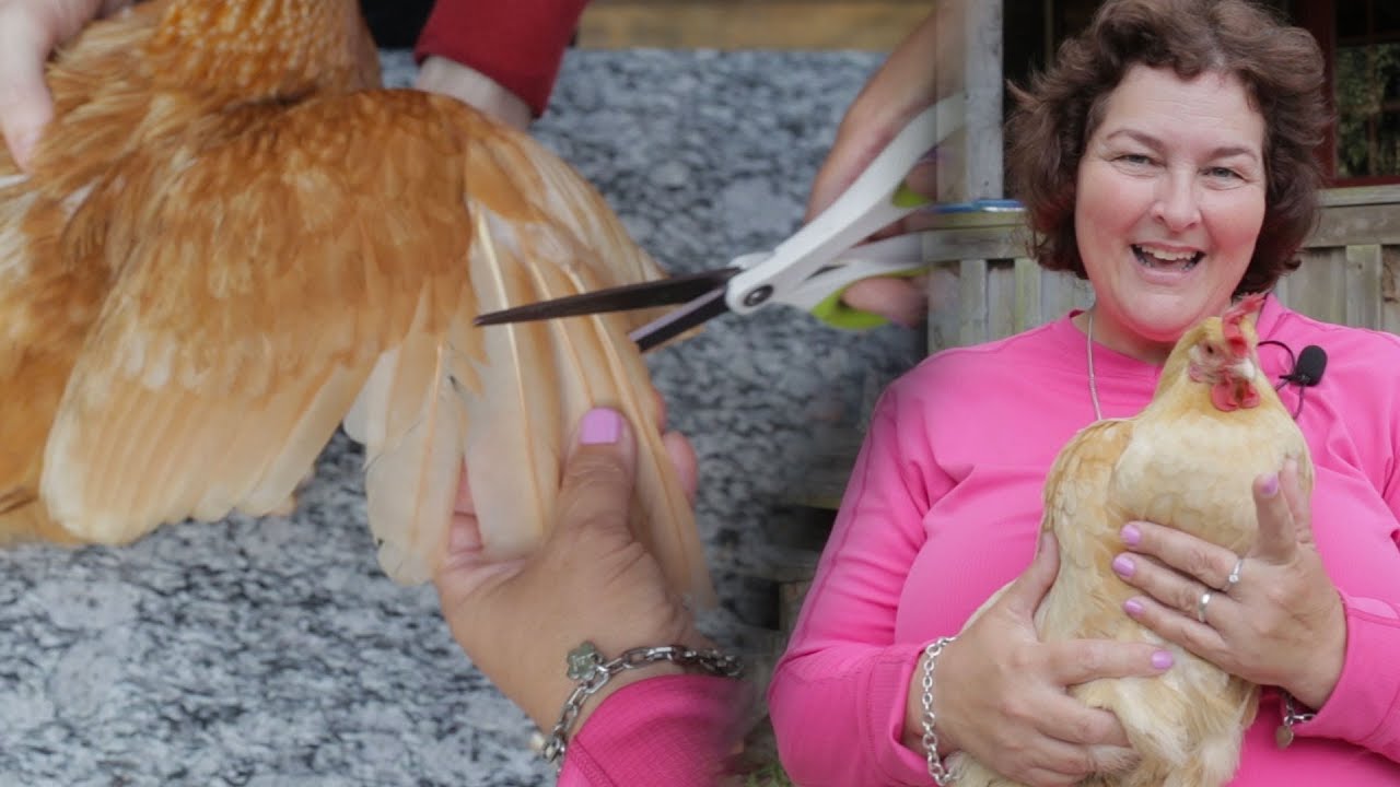 How to Clip Chicken Wings