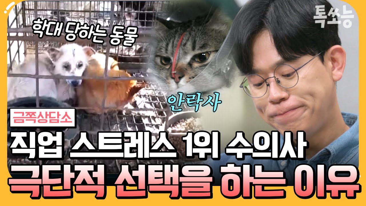 [#에이팅] 가장 스트레스가 높은 전문직은 수의사? 동물 학대와 안락사 트라우마에 시달리는 수의사 설채현x김명철 | #금쪽상담소 142회