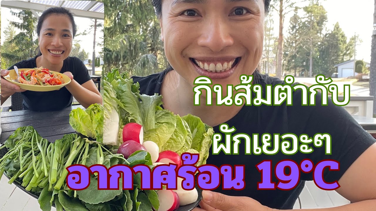 16.4.2025 วันนี้อากาศร้อน ออกมาข้างนอกแบบไม่ต้องมีเสื้อกันหนาว