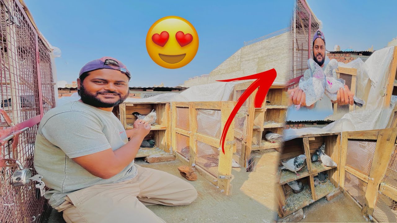 Finally ek or new joda laga diya 🕊️🥰
