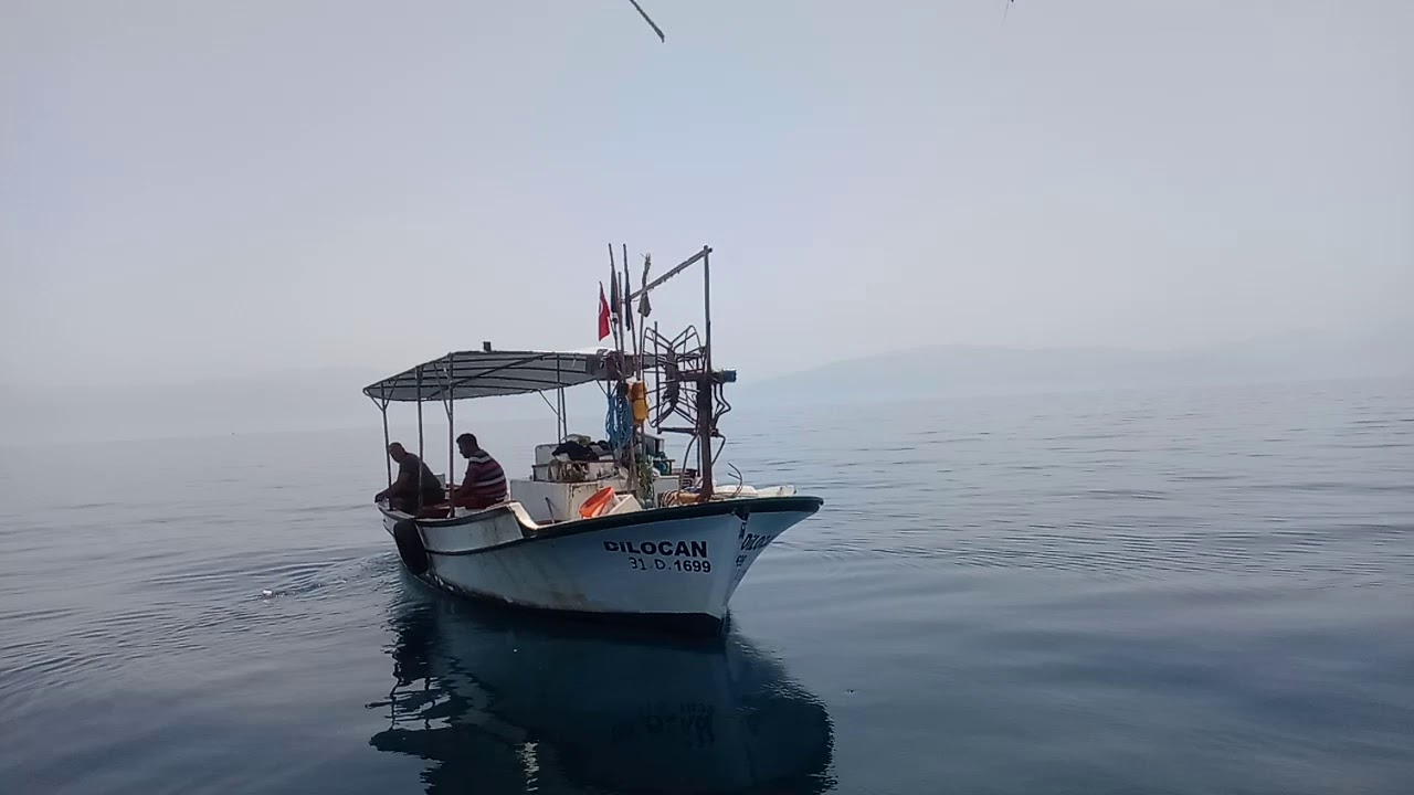 LAGOS avı İskenderun Körfezi