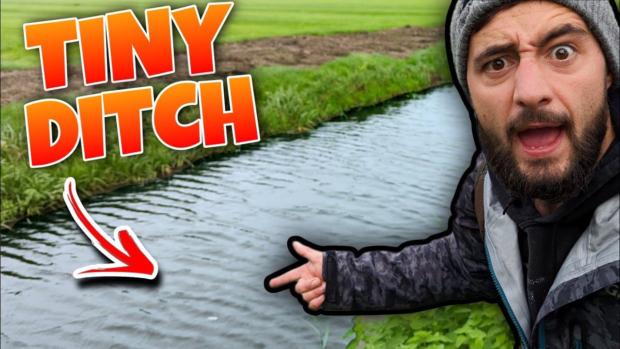 BIG Fish in Tiny Ditch? Polder Pike Fishing 🇳🇱