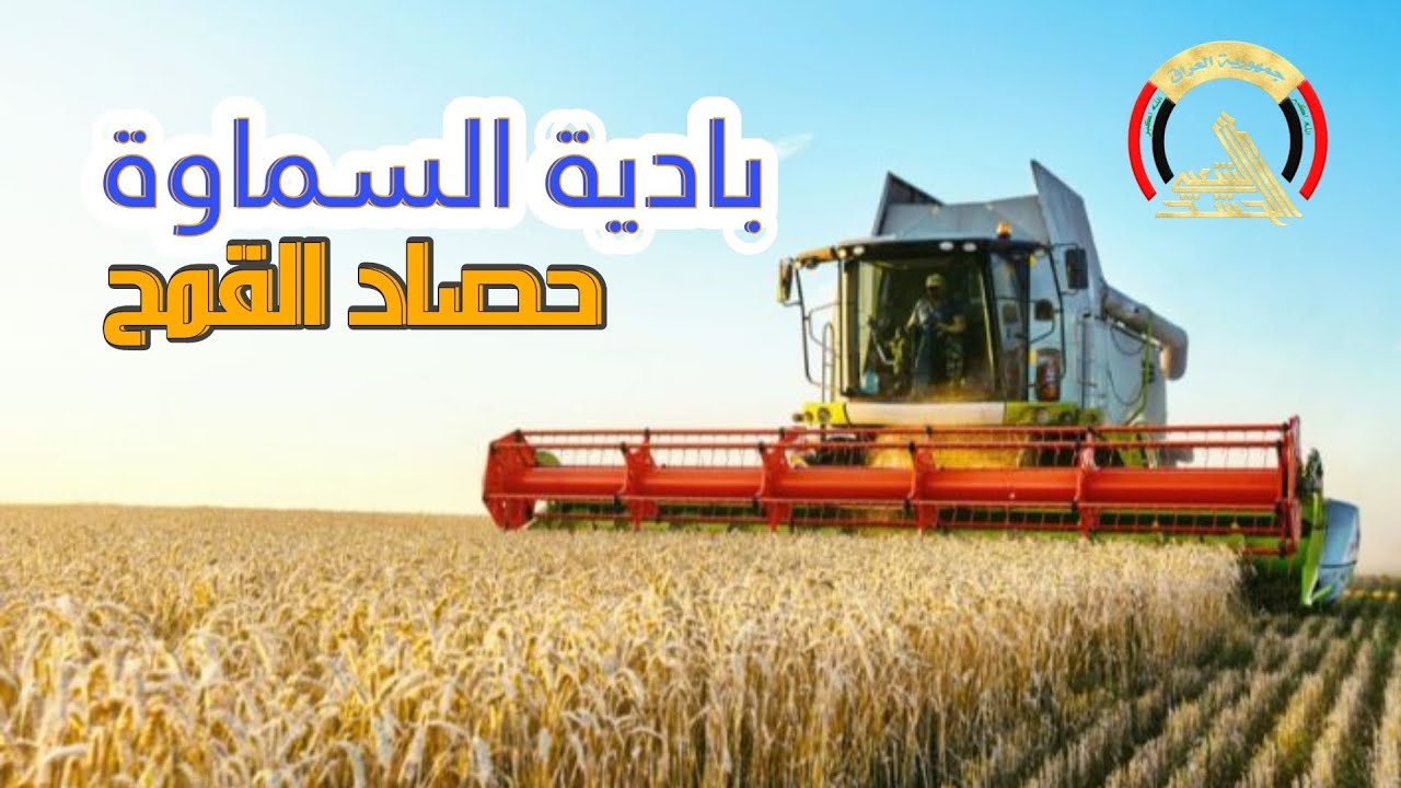 موسم حصاد القمح في بادية السماوة مشاريع العتبة المهندس
