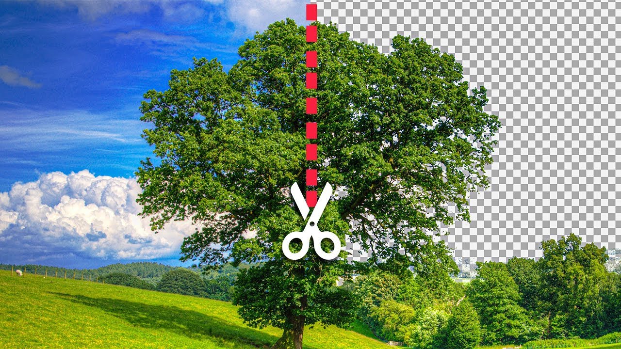 Técnica para Remover Fundos Difíceis no Photoshop