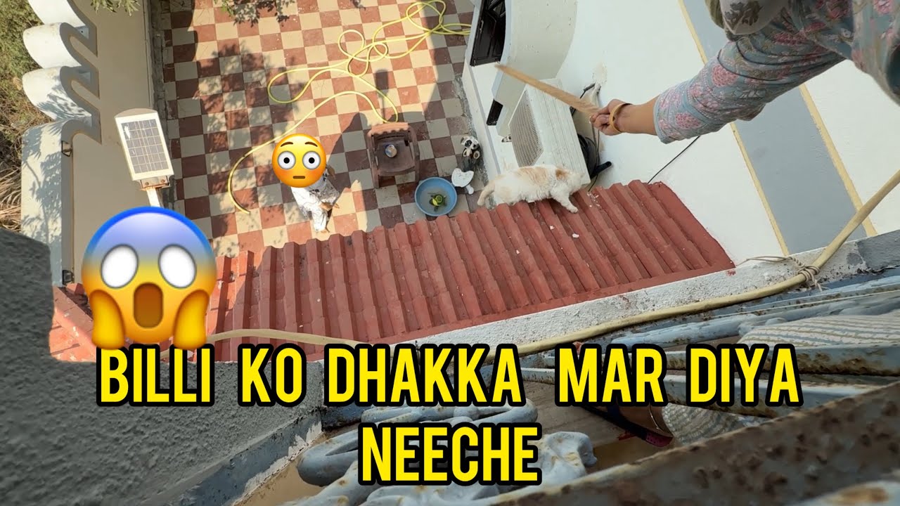 Hamne Billi ko bachane ki puri koshish ki! 😿 | Rescue Mission Gone Wrong but Happy Ending!