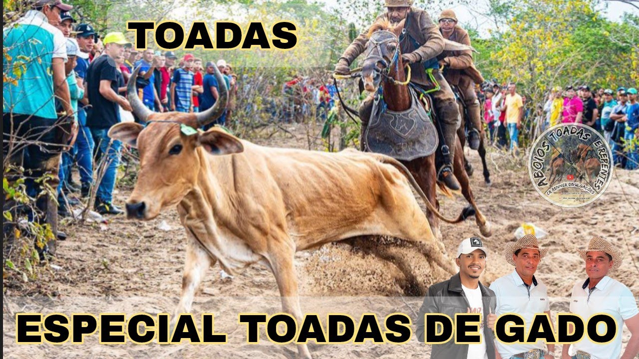 Seleção Toadas de Gado Grandes Poetas Toadeiros - Amor a Vida de Gado