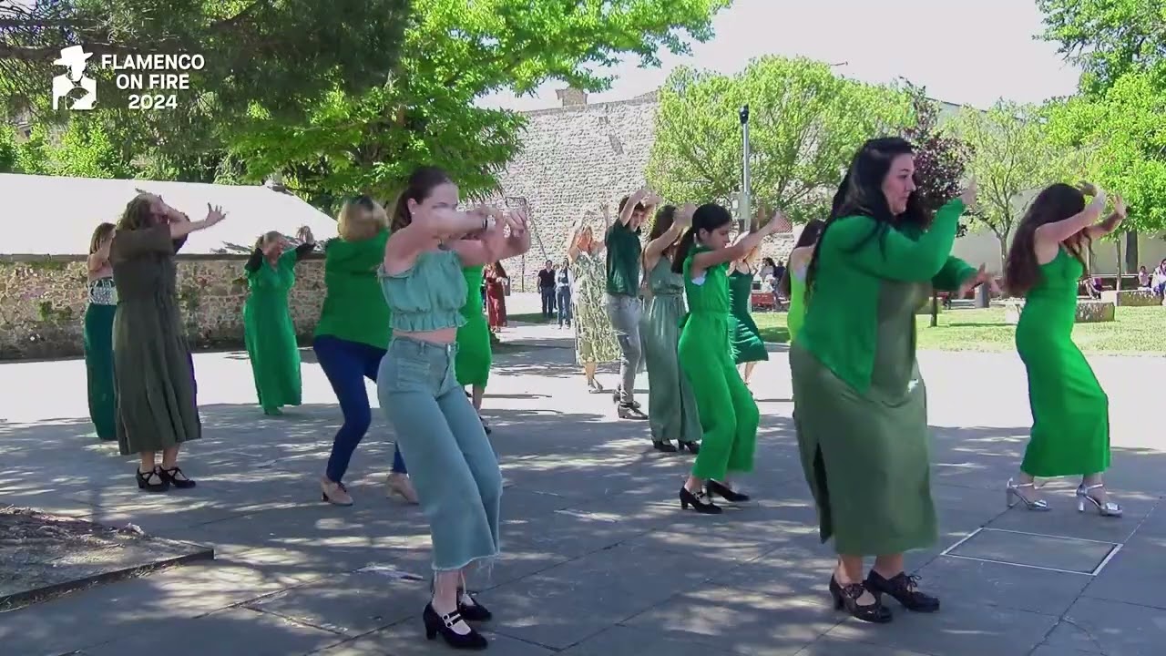 Coreografía completa #flashmob flamenco #plantatacón