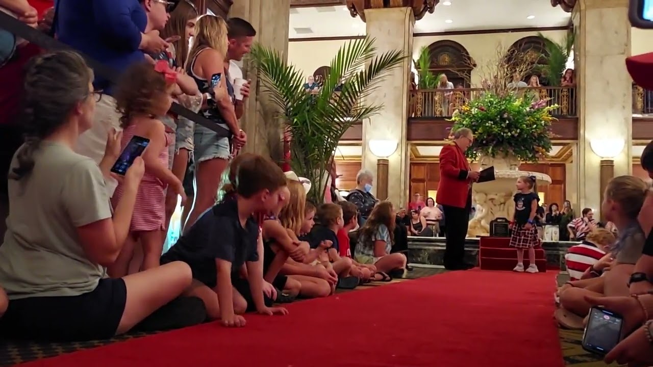 ducks walkacross the red carpet at the Peabody hotel