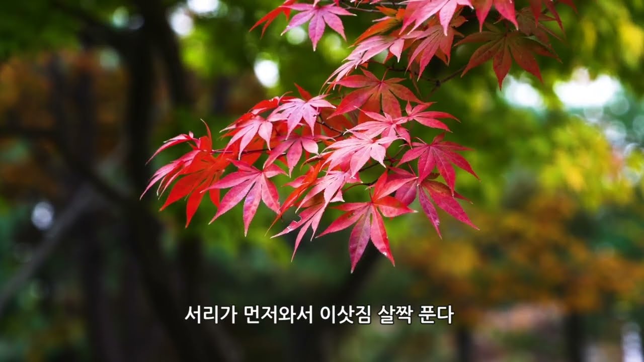 한국현대시조가곡II_십일월 앞에서_작시 박경연/작곡 최현석/소프라노 김정민/피아노 박노훈