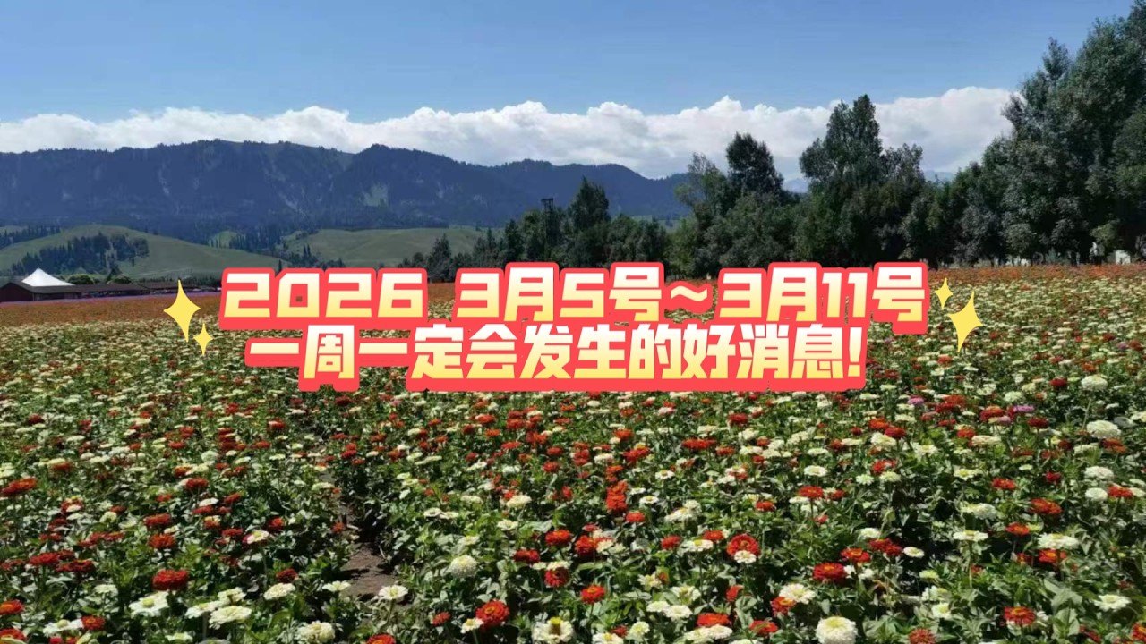 2026 3月5号～3月11号一周一定会发生的好消息！（不限关系  不限时空）