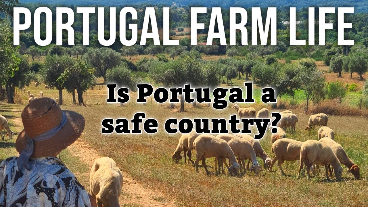 Is Portugal a SAFE country? | PORTUGAL FARM LIFE