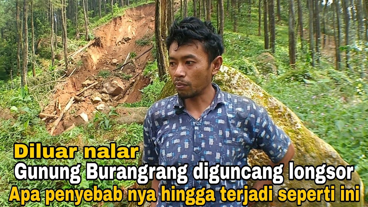 Diluar nalar‼️ gunung Burangrang diguncang longsor apa mungkin alih pungsi lahan hingga seperti ini