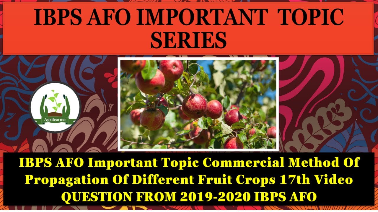 Commercial Method Of Propagation Of Different Fruit Crops IBPS AFO Important Topic  17th Video