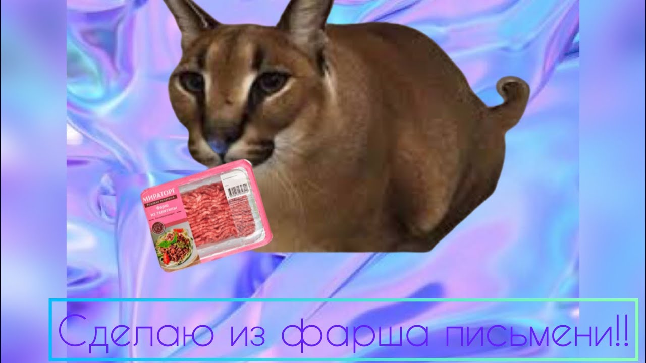 Шлёпа купил фарш!!! (Анимация)