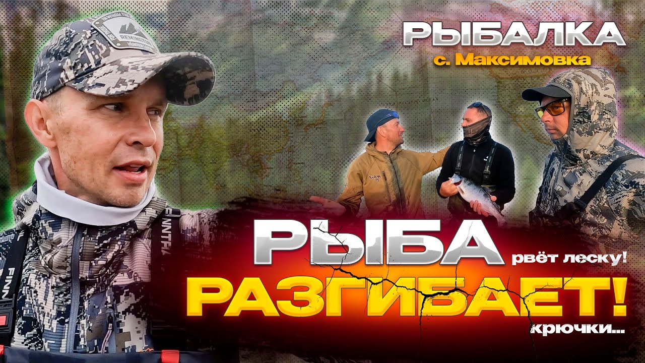 Рыбалка на горбушу! Рыба рвет леску и разгибает крючки!  Успевай вытаскивать дикую рыбу!