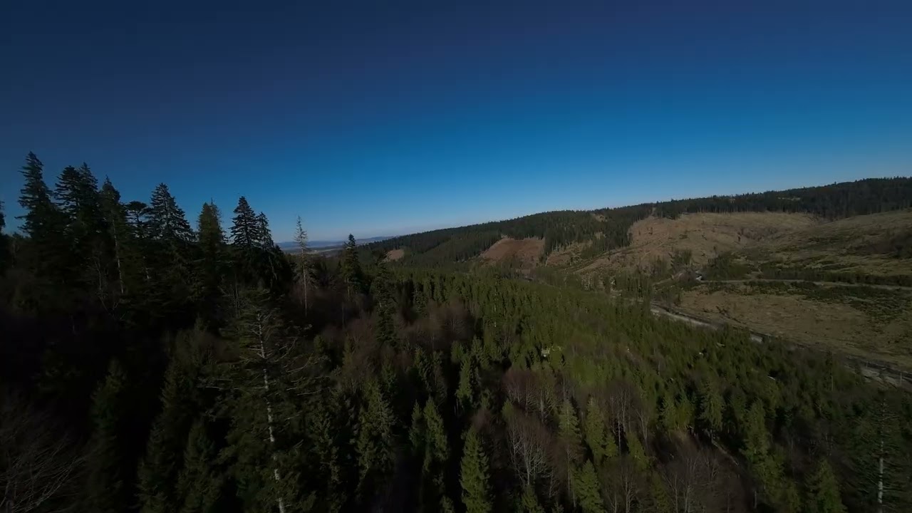 Chimera 7 PRO ORAVA