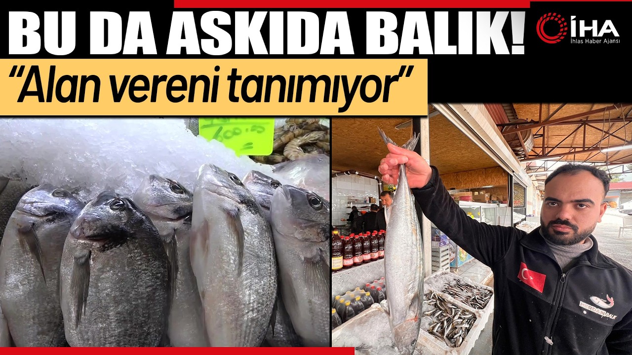 'Askıda Balık' Uygulaması İhtiyaç Sahiplerinin Yüzünü Güldürdü