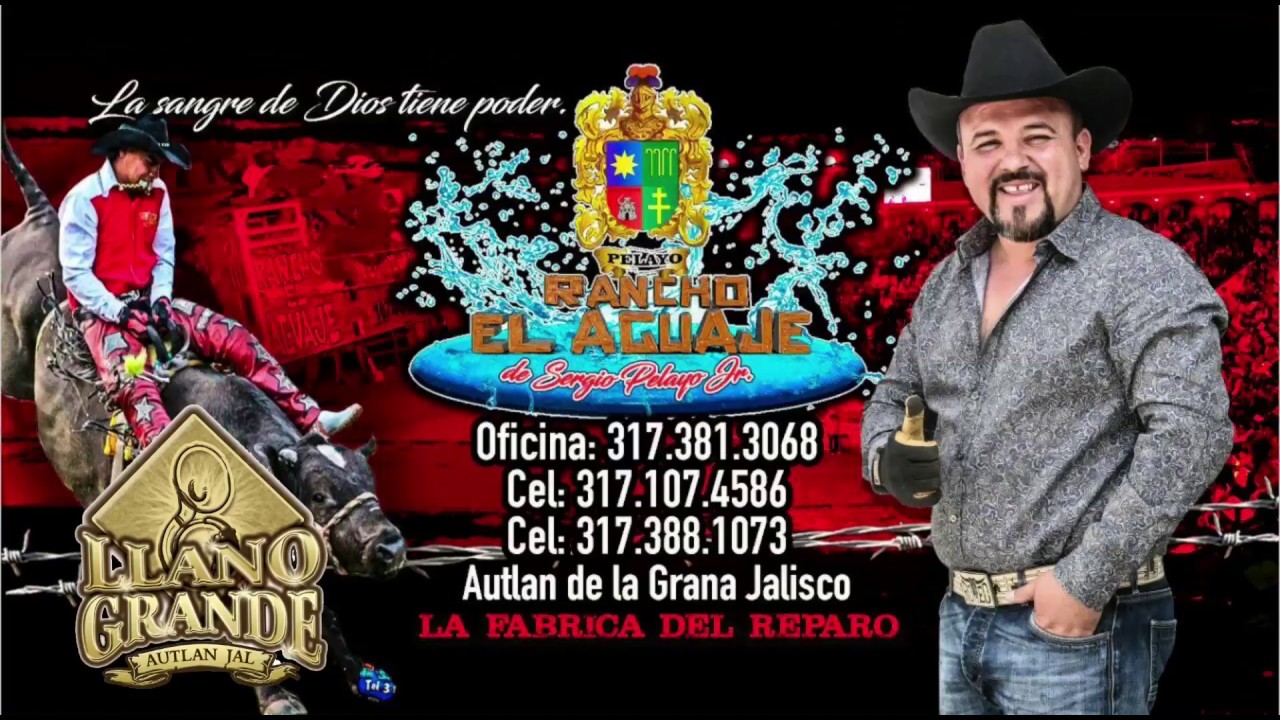 El Son de Rancho El Aguaje - Banda Llano Grande