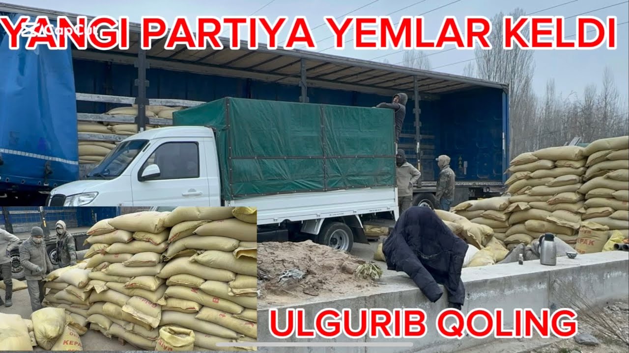 YANGI PARTIYA YEMLAR KELDI ARZON NARXLARDA ISLOM AKANI YANGI YEMLARI