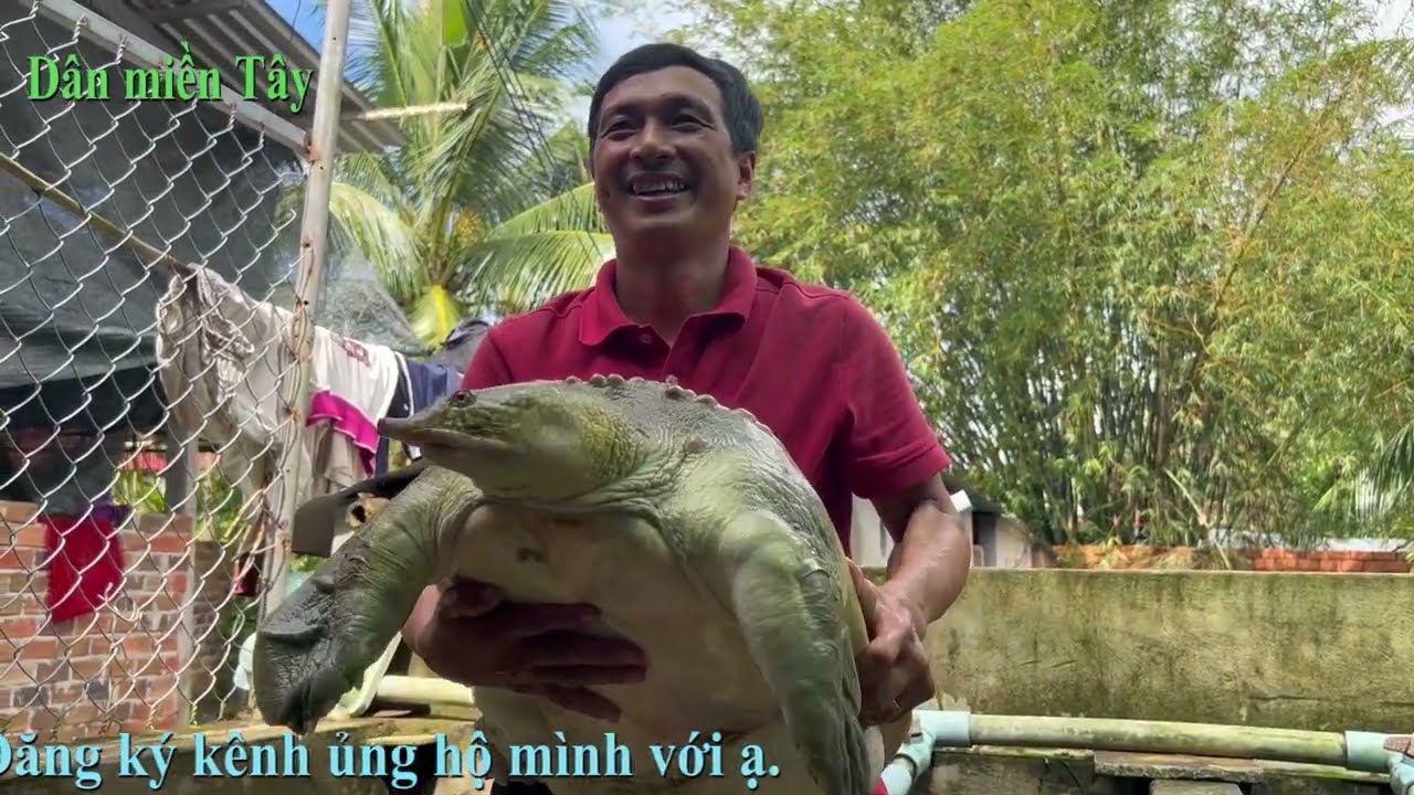 Trang trại nuôi cua đinh khổng lồ của tỉ phú miền Tây - Dân miền Tây