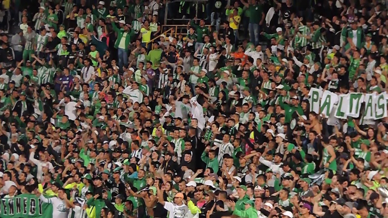 Tu Eres Mi Equipo Del Alma - Los del Sur 2019. Atl&eacute;tico Nacional vs Am&eacute;rica de Cali Torneo Fox 2019