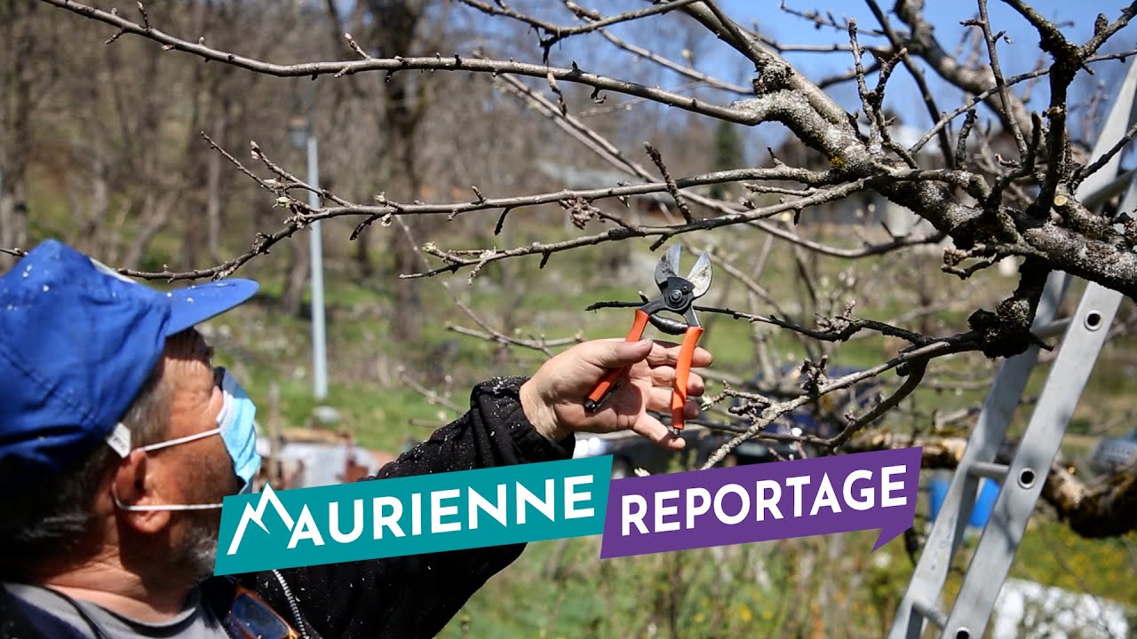 Maurienne Reportage #228 - Les Croqueurs de pommes