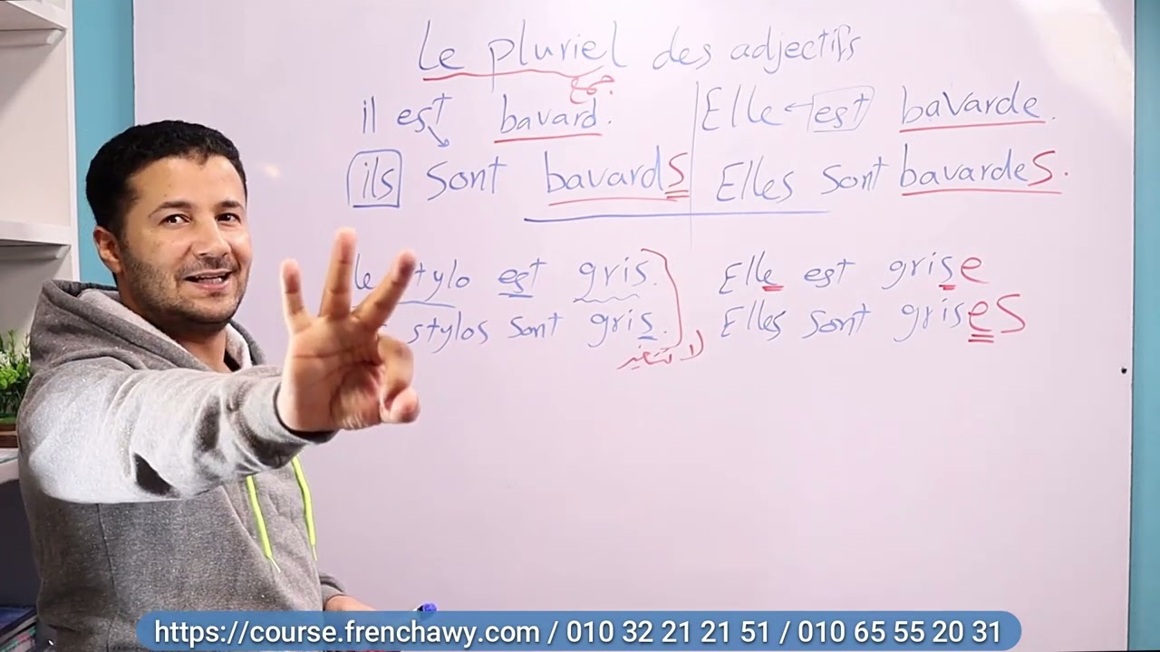 شرح جمع الصفة le pluriel des adjectifs في اللغة الفرنسية - منصة فرنشاوي - مسيو وليد مصطفى