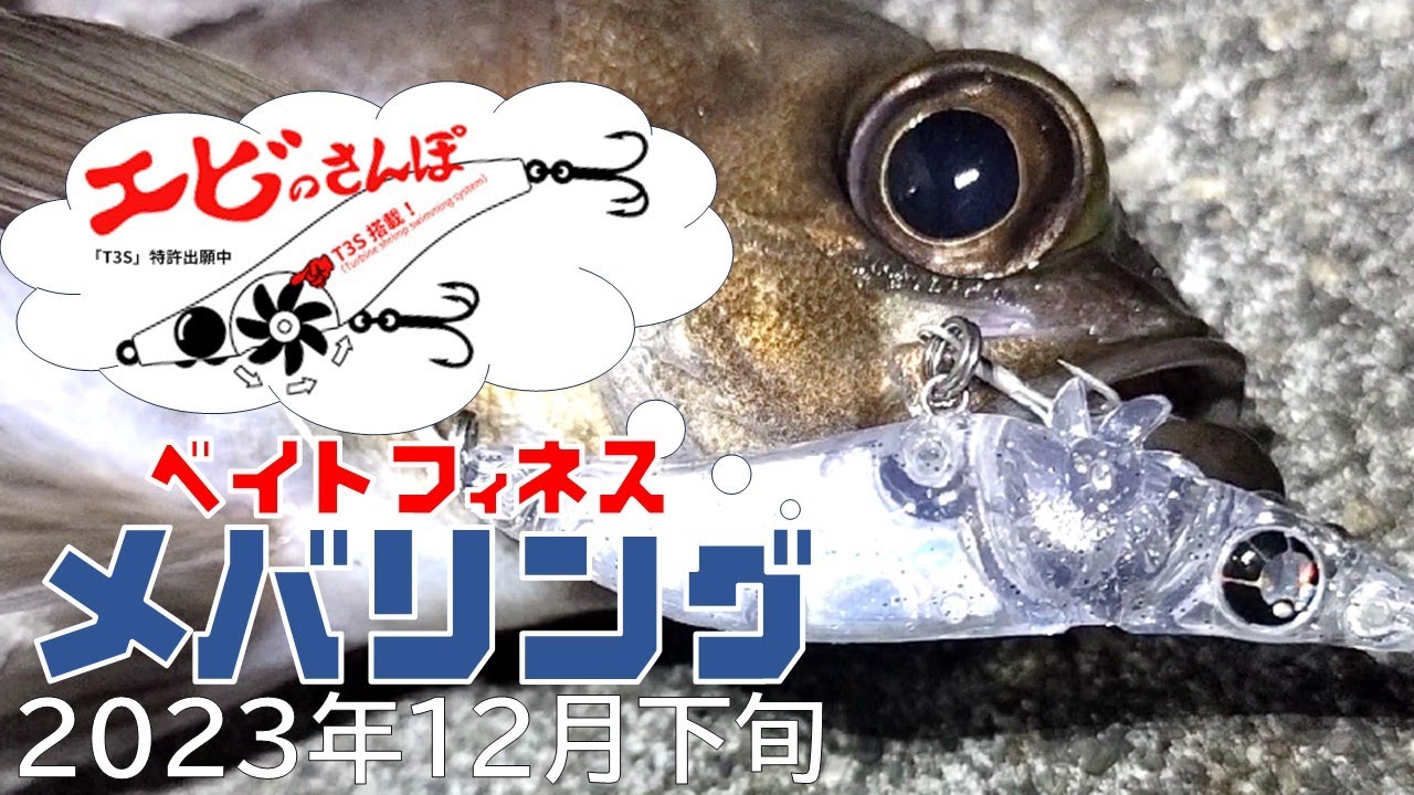 エビのさんぽdeベイトフィネスメバリング作戦4(亀川漁港/大分/別府湾)(2023年12月下旬)VLOG