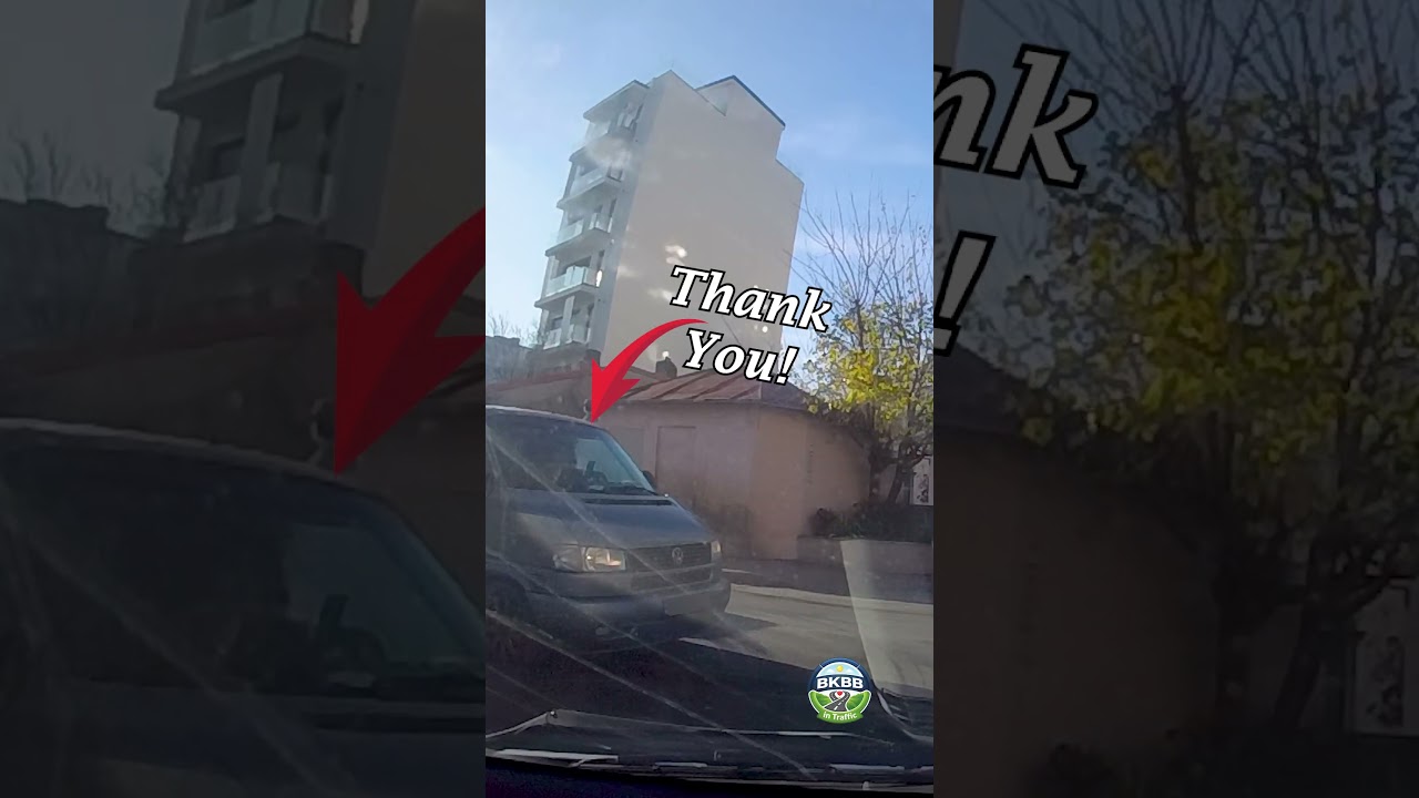 She made my day with one simple move #dashcam #kindness