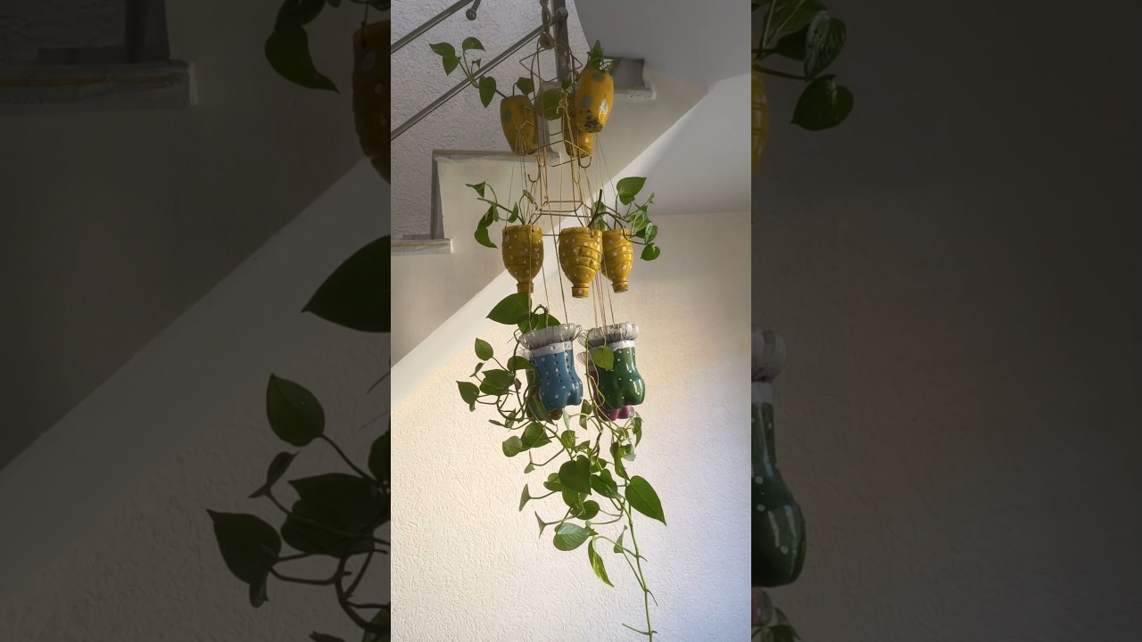 Cup Holder Se Jhoomar West se best ki Or 👍🔥💯