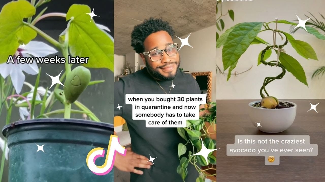 Planttok 🌱 Part 17 🌱  tiktok compilation