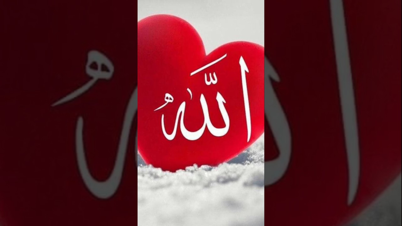 peace through Islam &hearts;️&hearts;️&hearts;️&hearts;️&hearts;️&hearts;️