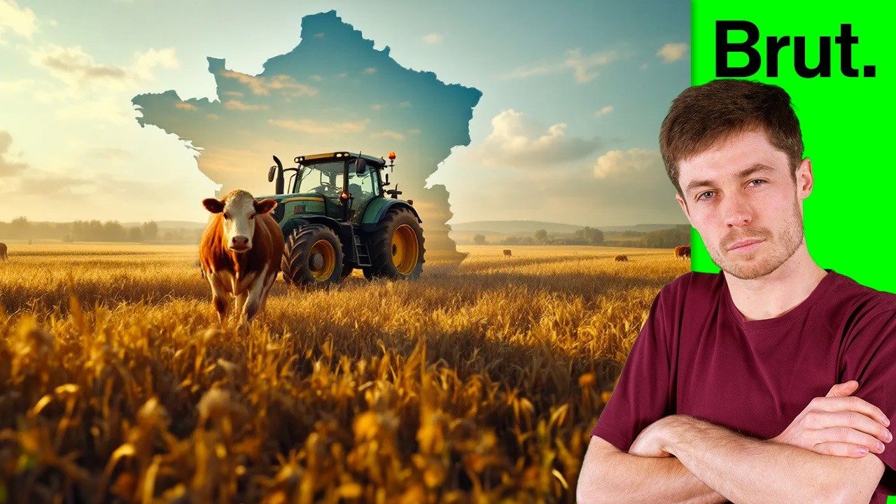 L'agriculture française peut-elle (encore) nous nourrir ?