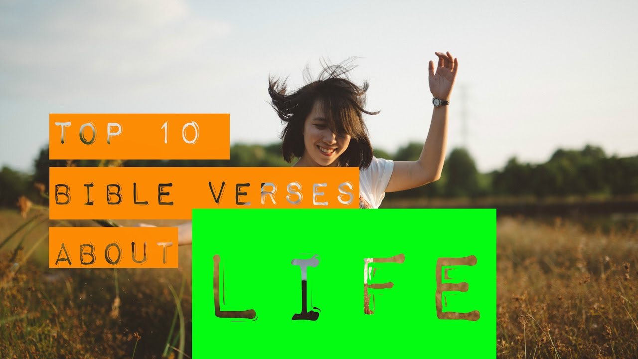 10 Bible Verses About Life