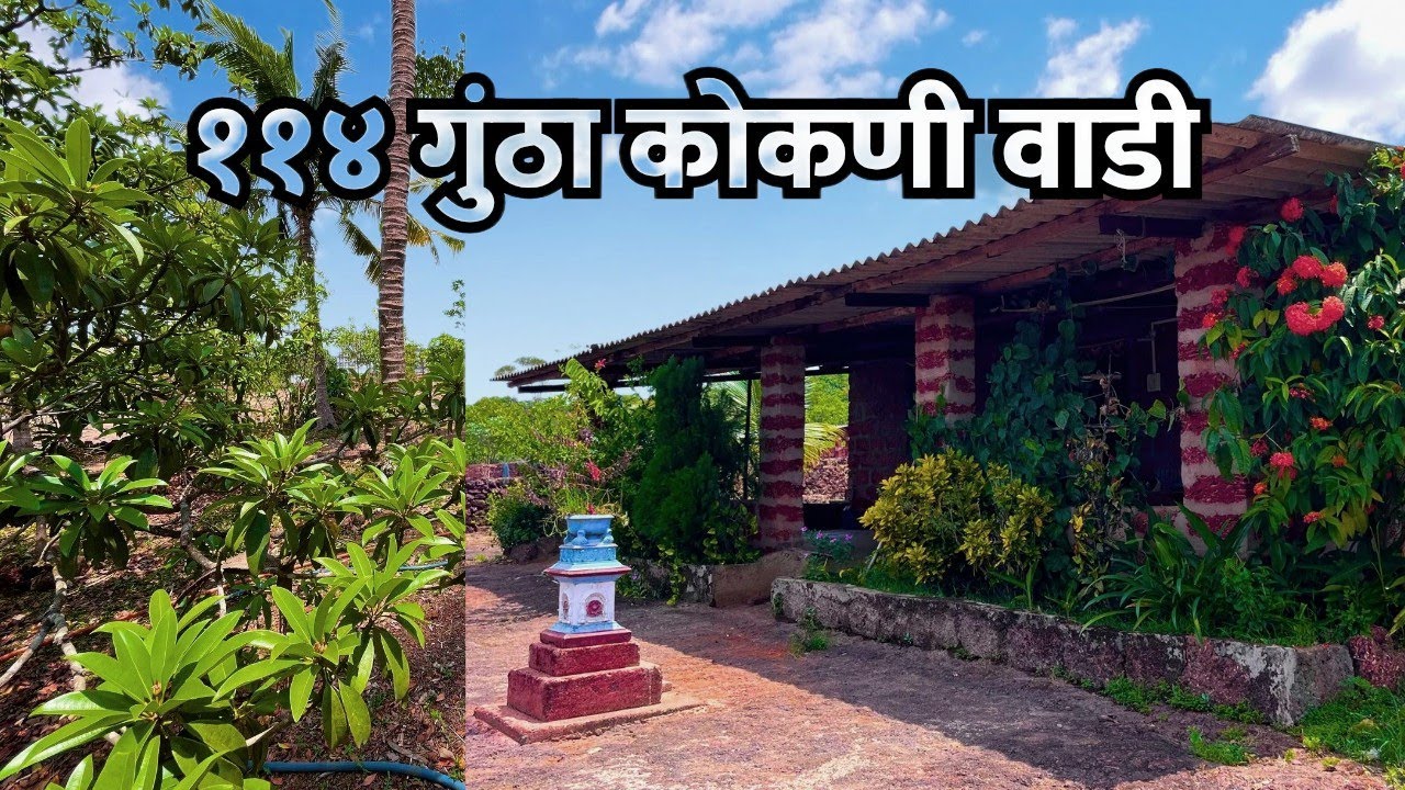 हाय वे टच 114 गुंठा कोकणी वाडी विकणे आहे
