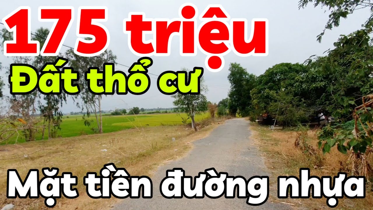 Đất giá rẻ 175 triệu đường nhựa thổ cư nhà cửa đông ở xã Phước Vinh Tây Ninh có 2 lô sổ hồng riêng